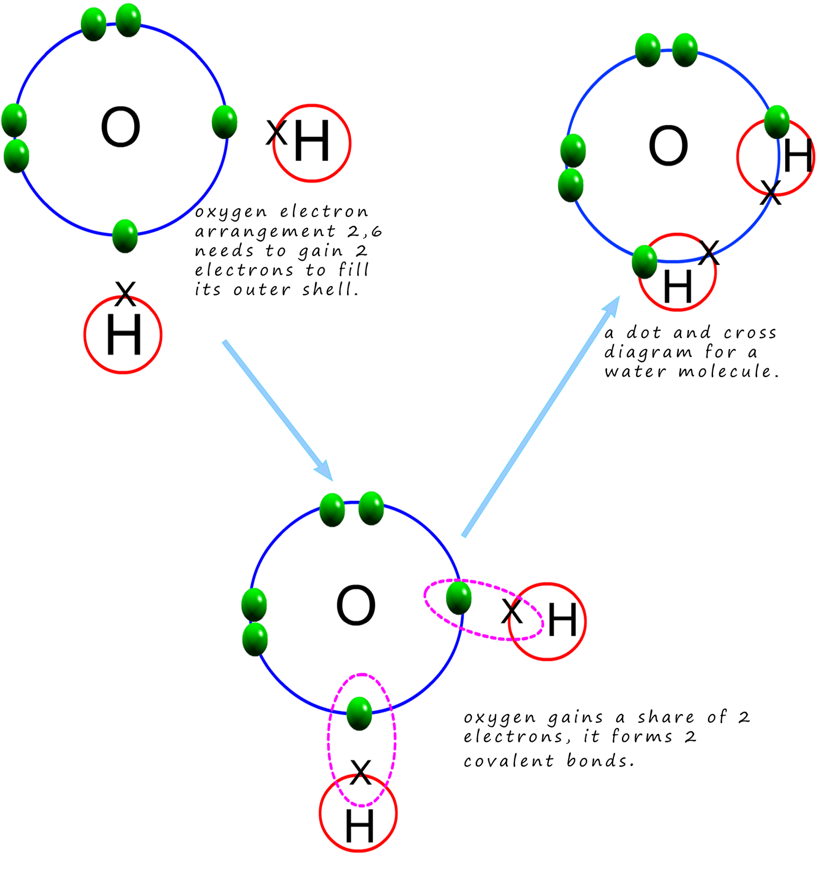 dot and cross diagram for formation of a water molecule